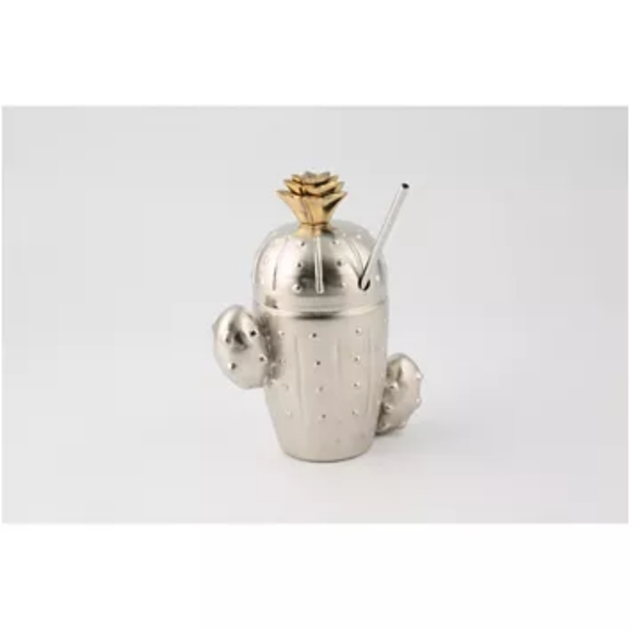 Thirstystone Other - 🌟2 for $25🌟 Cactus Tumbler with Stainless Straw